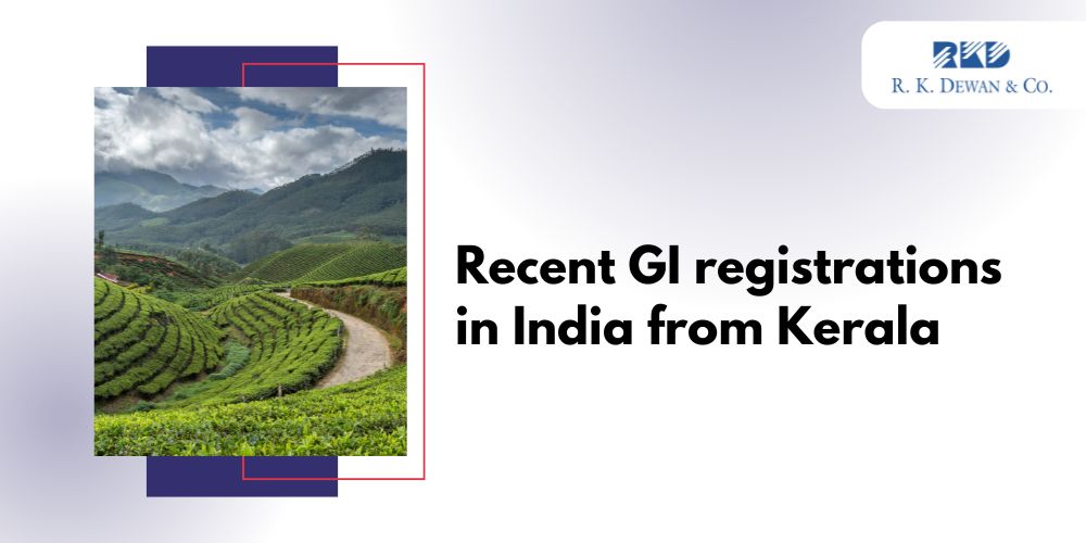 Recent GI registrations in India from Kerala