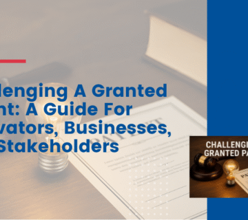 Challenging A Granted Patent