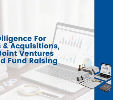 IP due diligence