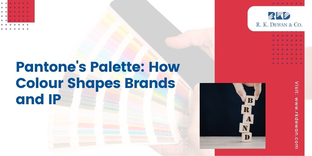 Intellectual Property